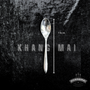 Thìa cán nhọn đầu nhọn 2100-size 19