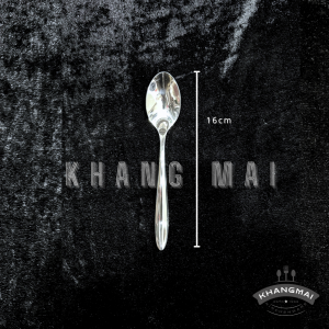 Thìa cán nhọn đầu nhọn 2100-size 16