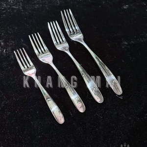 Set Dĩa 4 size RM304