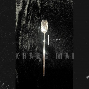 Thìa Cán Dài - Tù 