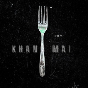 Dĩa RM304 - size 14