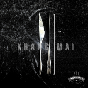 Dao cán nhọn dáng nhọn 2100-size 25