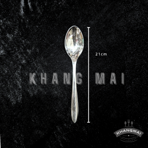 Thìa cán nhọn đầu nhọn 2100-size 21