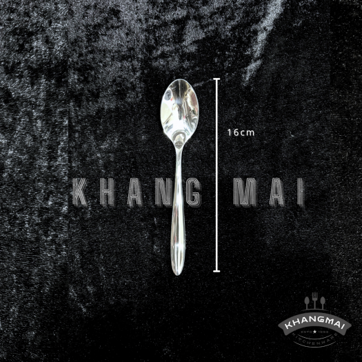 Thìa cán nhọn đầu nhọn 2100-size 16