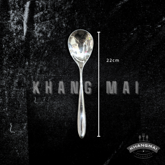 Thìa cán nhọn đầu tròn 2100-size 22