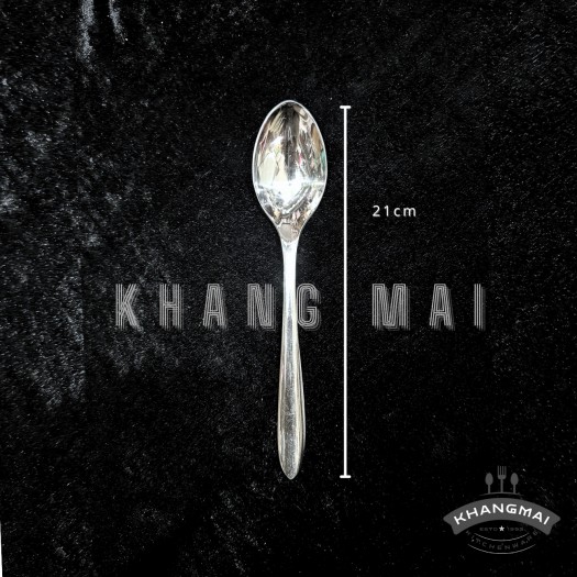 Thìa cán nhọn đầu nhọn 2100-size 21